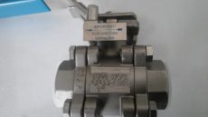 VM3-100NPTDN020-316/316-500°C